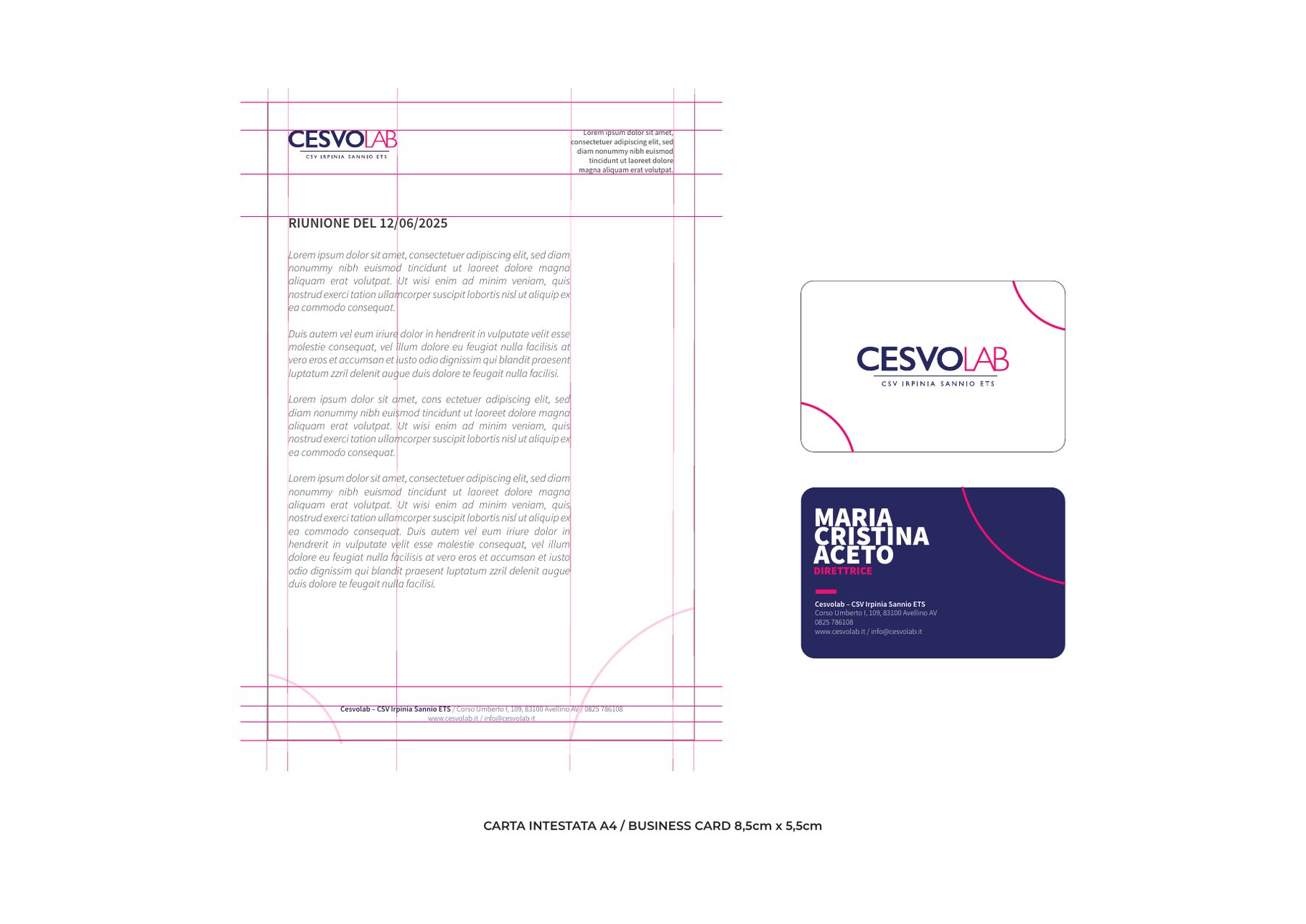 Carta intestata e biglietti da visita CESVOLAB