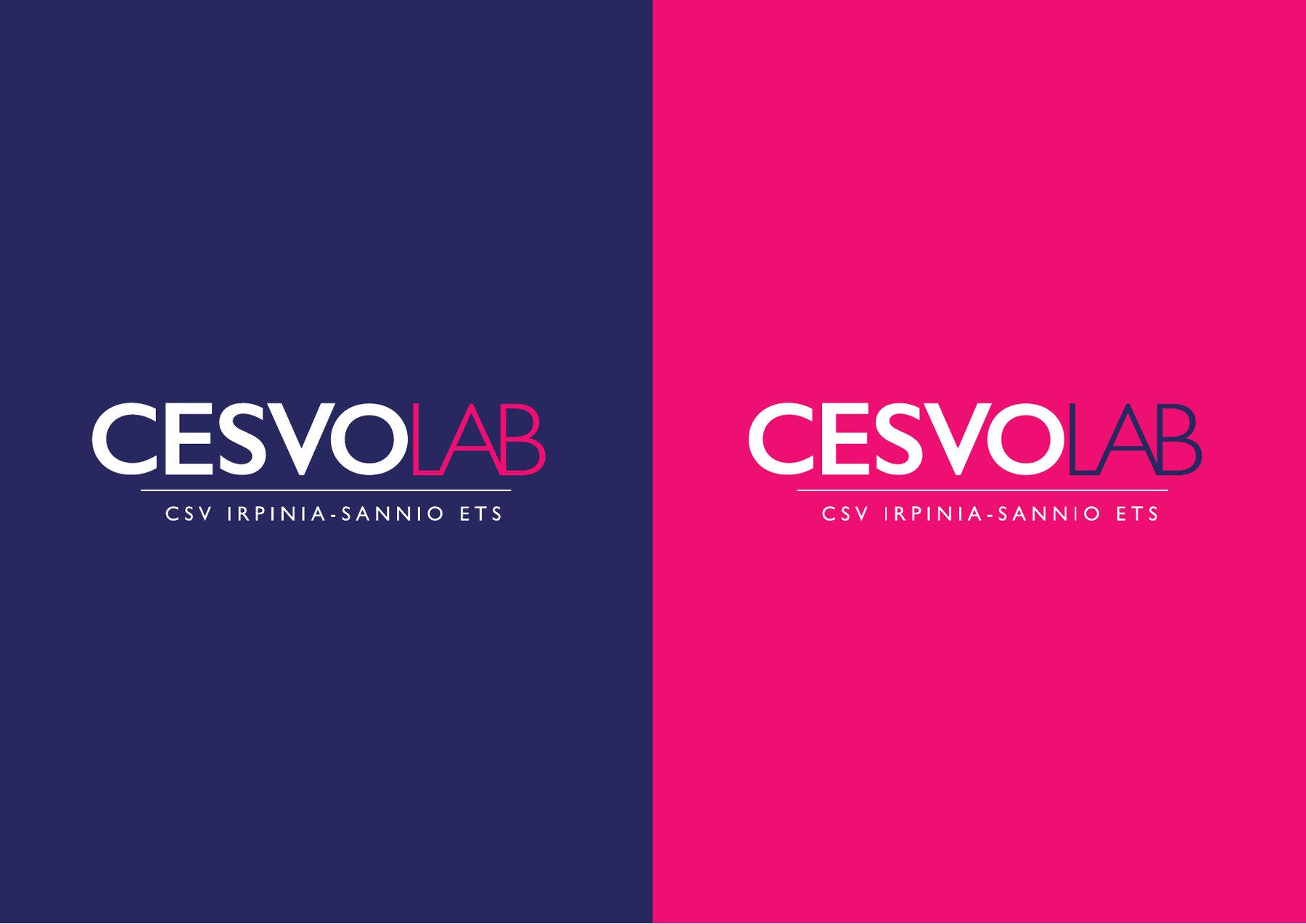 Logo CESVOLAB nelle due versioni colore