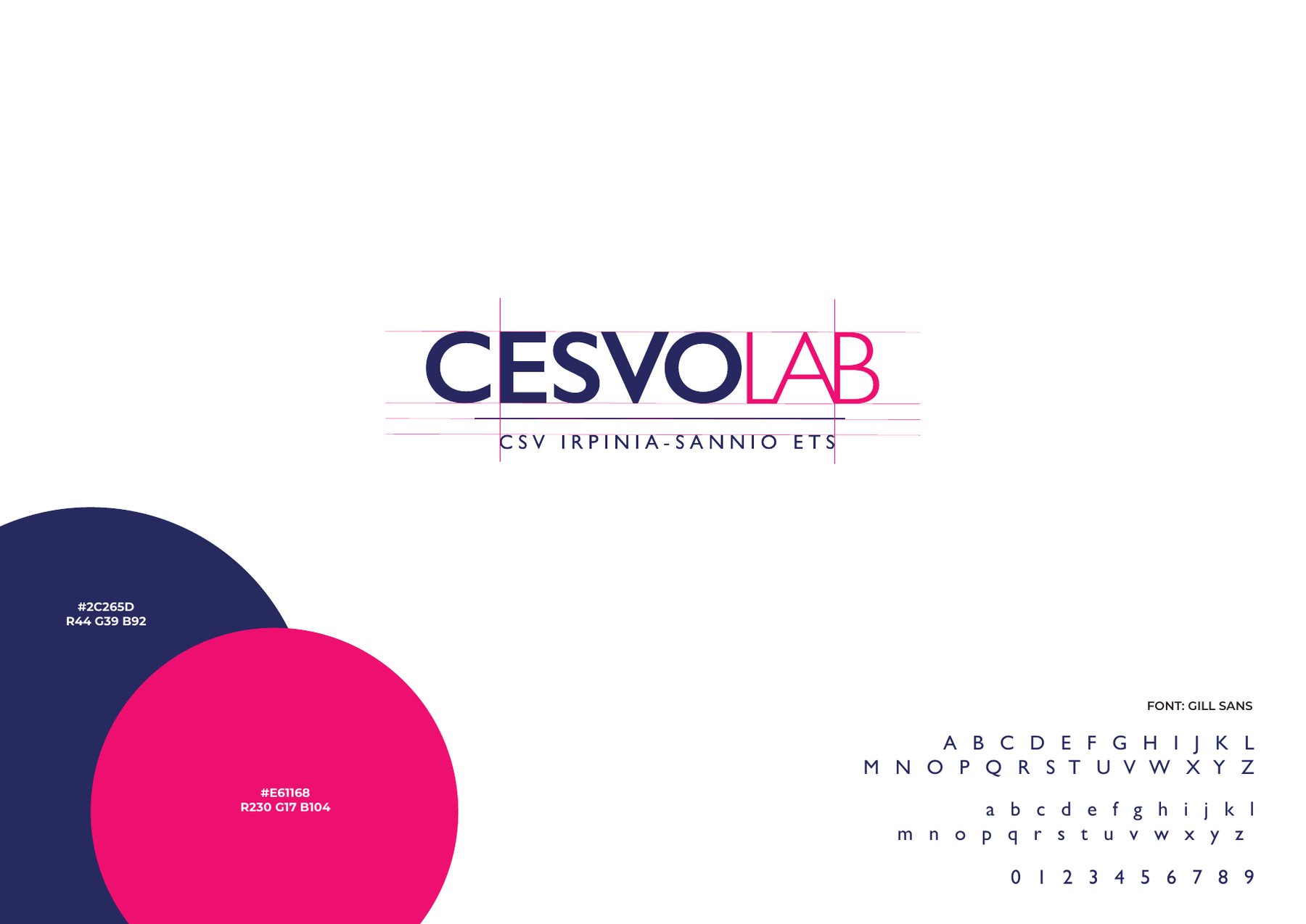 Logo, palette e tipografia CESVOLAB